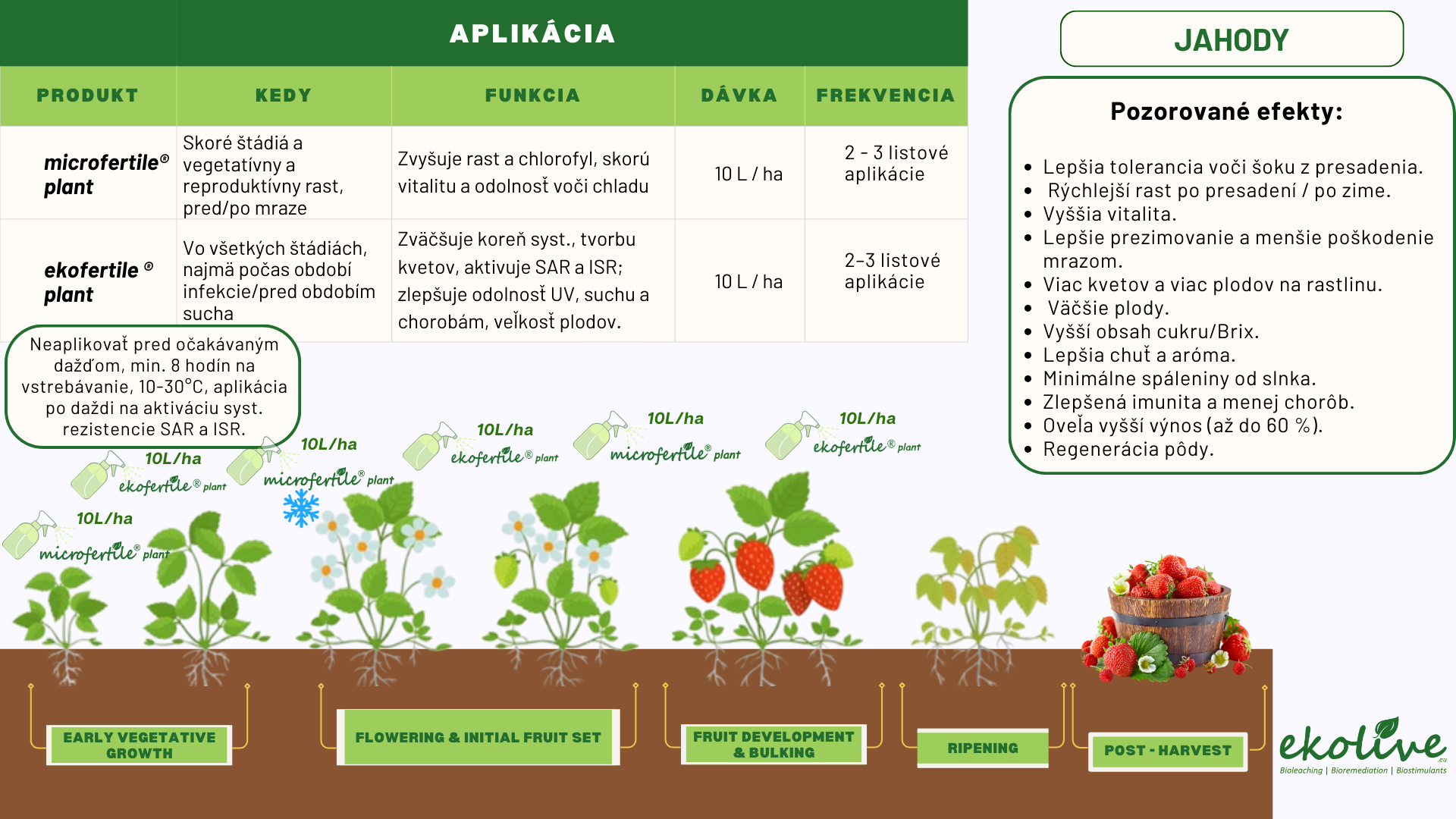 Pôdny biostimulant a prírodné hnojivo ekofertile®plant a  microfertile® plant  na jahody